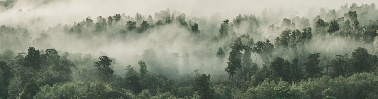 Politica privacidad copywriting ecoturismo