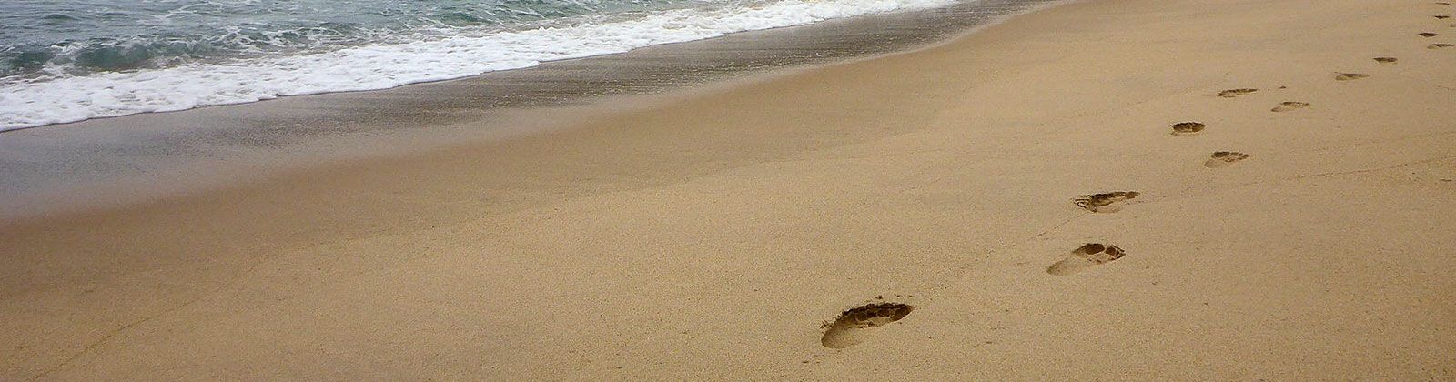 Historia del copywriting para ecoturismo y negocios sostenibles